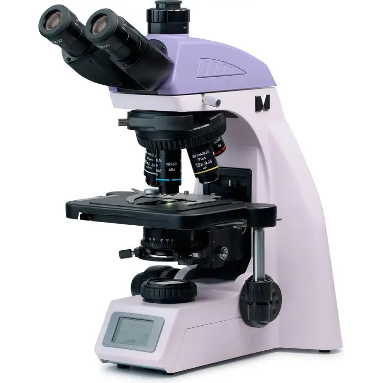 Биологический микроскоп MAGUS Bio 260T 83479 Биологический микроскоп MAGUS Bio 260T 83479