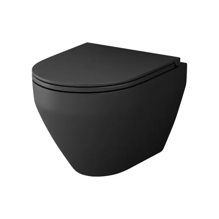 Подвесной унитаз AM.PM SpV2.0 C701700MBSC