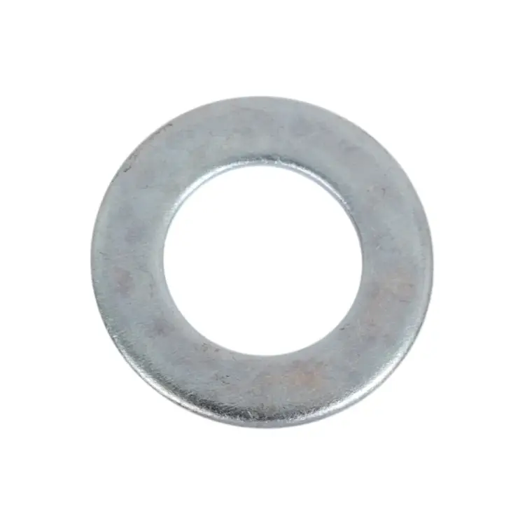 Шайба ЖЕСТЬ УТ-00009682