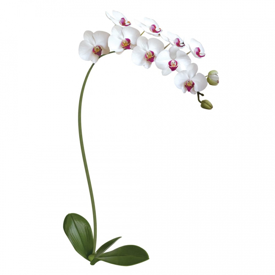 Наклейка Декоретто Белая Орхидея
