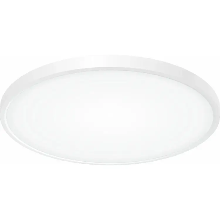 Накладной светильник Citilux Бейсик CL738400V