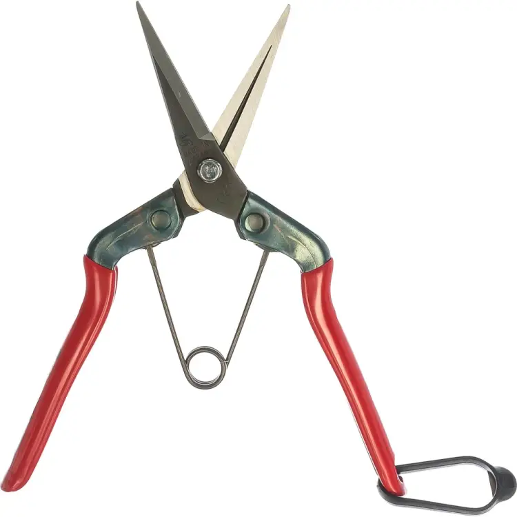 Ножницы для сбора фруктов, овощей, цветов SAMURAI KS-55C