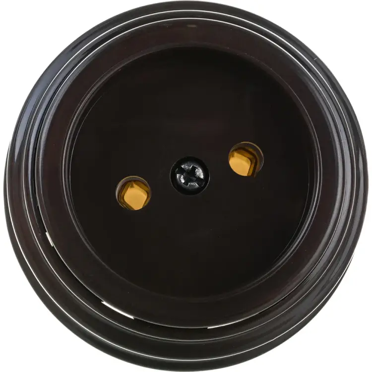 Одноместная розетка BYLECTRICA РЕТРО РА16-0201 шоколад