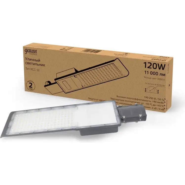 Уличный консольный светодиодный светильник Gauss 629534120