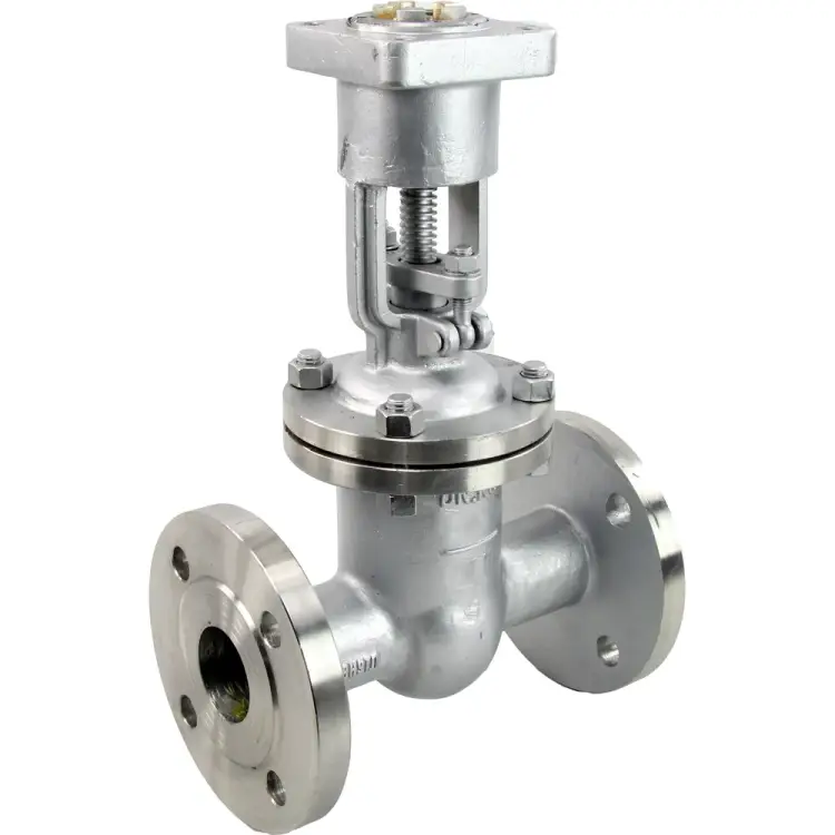 Клиновая задвижка DN.ru 30нж964нж ду200 ру25 D040-03784