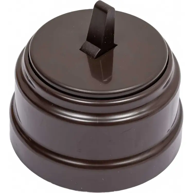 Тумблерный одноклавишный выключатель BYLECTRICA А110-2203 А110-2203 шоколад