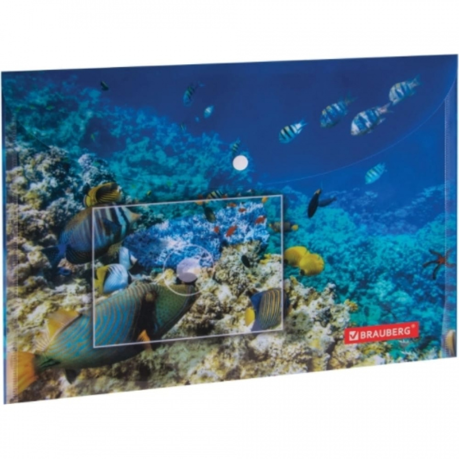 Папка-конверт BRAUBERG SEA WORLD
