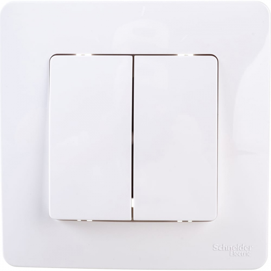 Двухклавишный выключатель Schneider Electric BLANCA