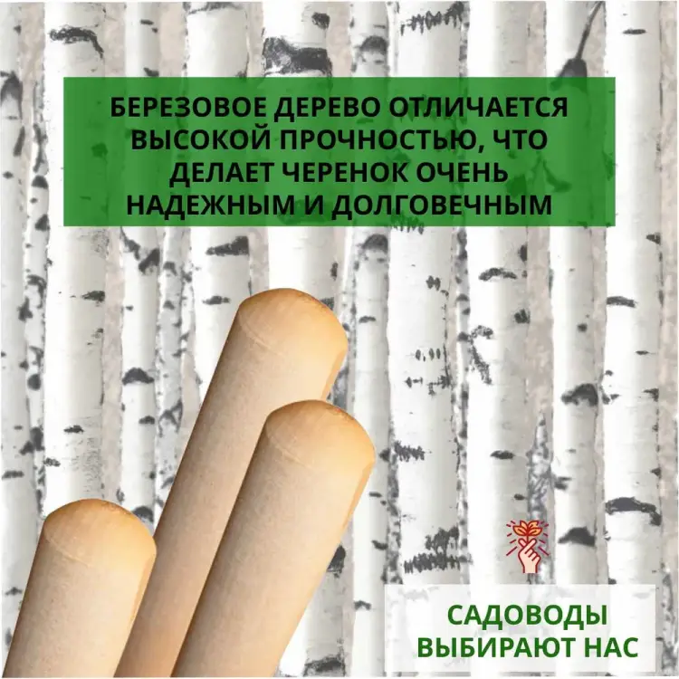 Сухой шлифованный деревянный черенок ООО Агростройлидер 20