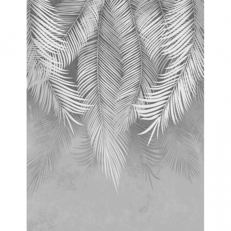 Фотообои Dekor Vinil Пальмовые листья на сером фоне