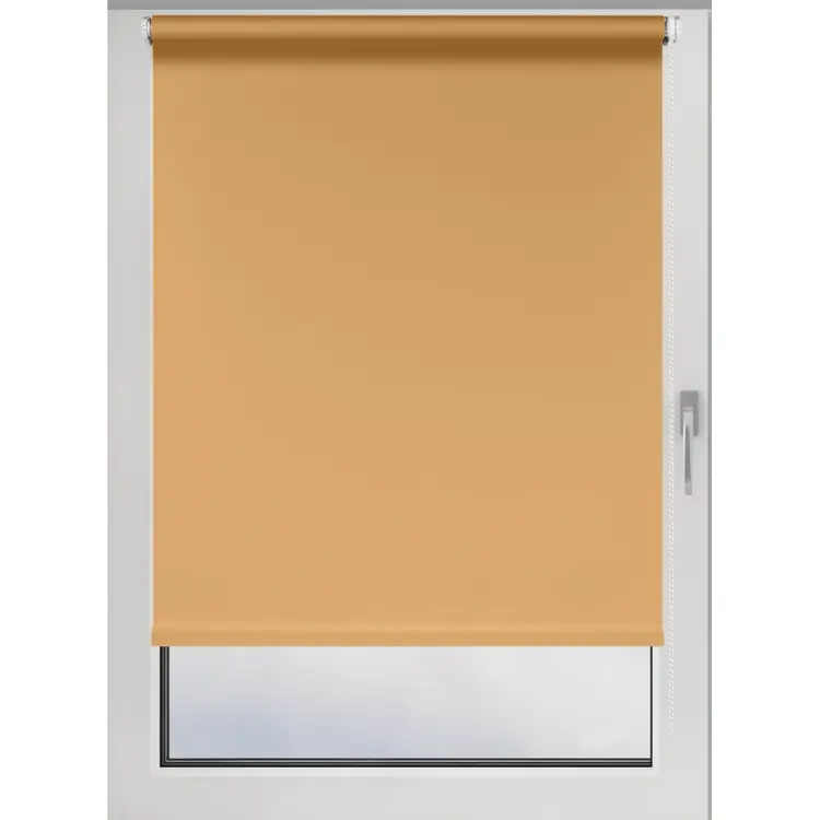 Рулонная штора PRAKTO Easy 8316706