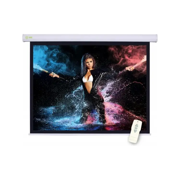 Настенно-потолочный рулонный экран Cactus Motoscreen 16:09 359061