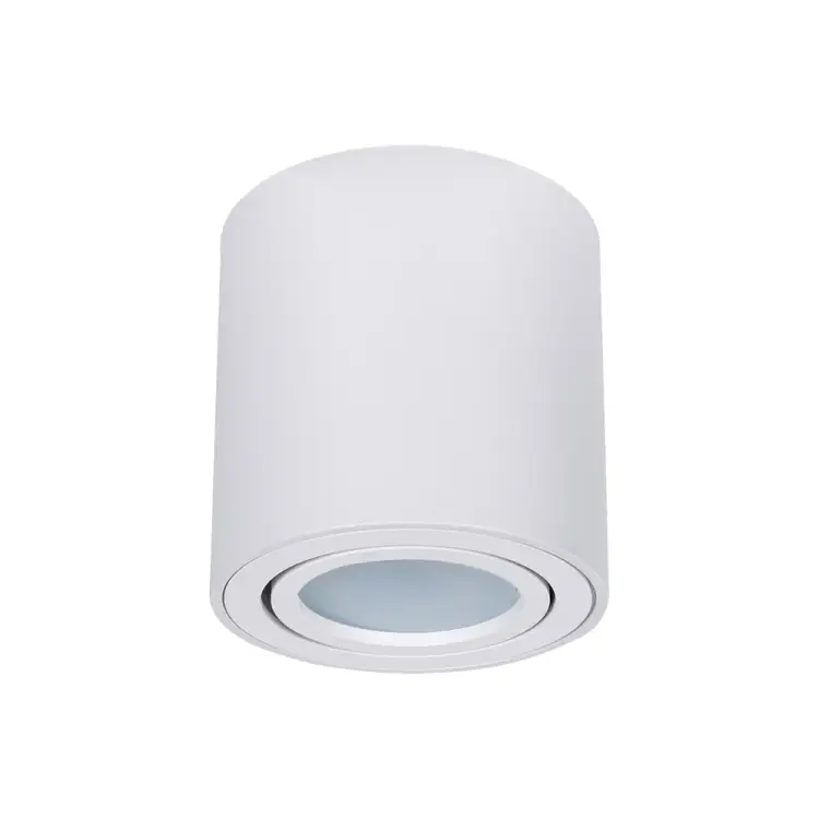 Точечный накладной светильник ARTE LAMP beid A1513PL-1WH